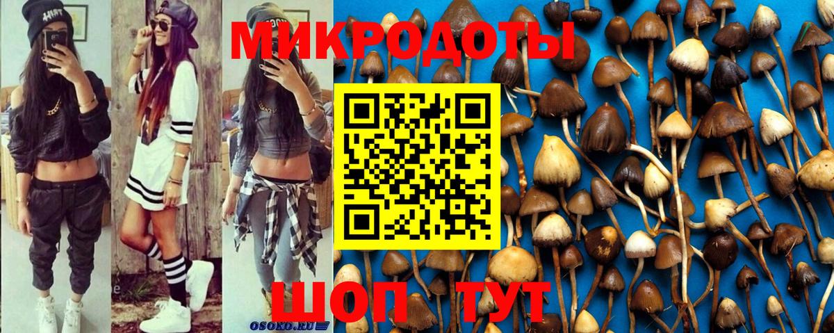 Псилоцибиновые грибы мицелий Донской
